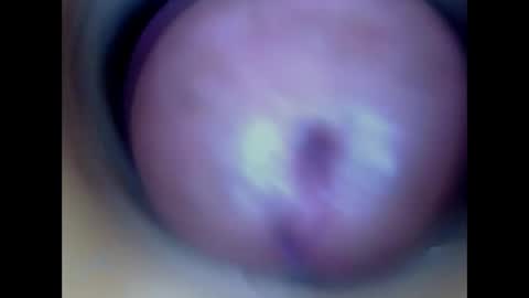 Snapshot of paulainoscente chatting on May 13, 2026, 1:03 am Paula 18 Aninhos online show from May 13, 2026, 1:03 am