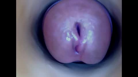 Snapshot of paulainoscente chatting on May 17, 2026, 2:35 pm Paula 18 Aninhos online show from May 17, 2026, 2:35 pm