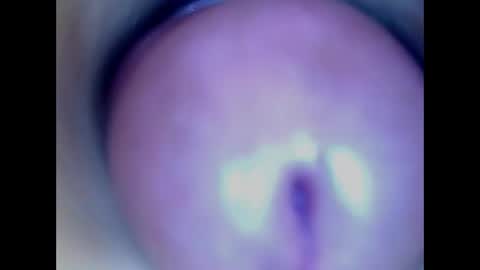 Snapshot of paulainoscente chatting on May 18, 2026, 2:40 am Paula 18 Aninhos online show from May 18, 2026, 2:40 am