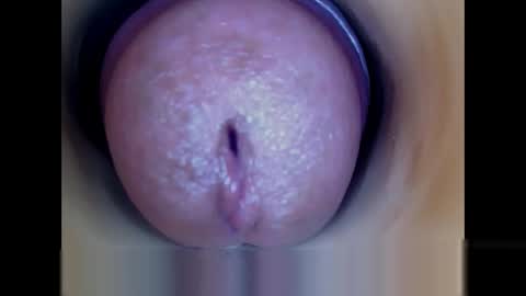 Snapshot of paulainoscente chatting on May 19, 2026, 2:01 pm Paula 18 Aninhos online show from May 19, 2026, 2:01 pm