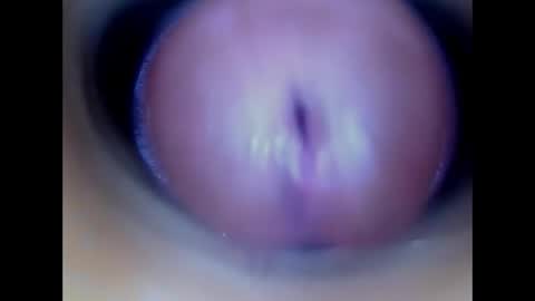 Snapshot of paulainoscente chatting on May 21, 2026, 1:51 pm Paula 18 Aninhos online show from May 21, 2026, 1:51 pm