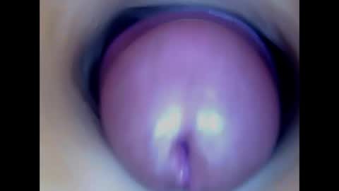 Snapshot of paulainoscente chatting on June 9, 2026, 5:24 pm Paula 18 Aninhos online show from June 9, 2026, 5:24 pm