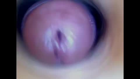 Snapshot of paulainoscente chatting on June 11, 2026, 2:53 am Paula 18 Aninhos online show from June 11, 2026, 2:53 am