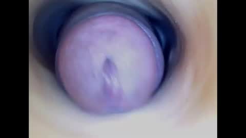 Snapshot of paulainoscente chatting on June 15, 2026, 1:24 pm Paula 18 Aninhos online show from June 15, 2026, 1:24 pm