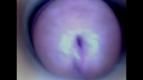 Snapshot of paulainoscente chatting on June 16, 2026, 1:30 am Paula 18 Aninhos online show from June 16, 2026, 1:30 am