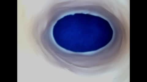 Snapshot of paulainoscente chatting on June 19, 2026, 5:06 pm Paula 18 Aninhos online show from June 19, 2026, 5:06 pm