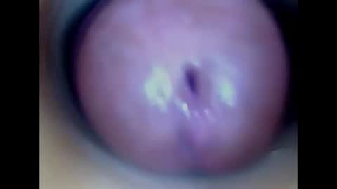 Paula 18 Aninhos online show from July 13, 2026, 2:09 pm