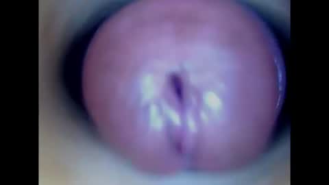 Paula 18 Aninhos online show from July 31, 2026, 1:21 pm