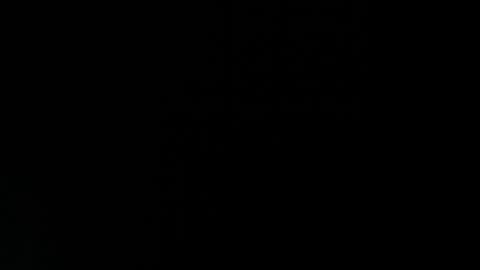 Paulina online show from July 5, 2026, 2:02 pm
