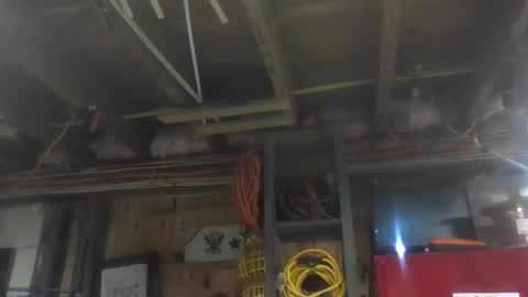 paulstetson online show from December 20, 2024, 10:43 pm