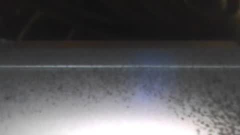 paulstetson online show from December 26, 2024, 8:00 pm