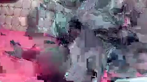 Coco channel  online show from December 22, 2024, 8:49 am