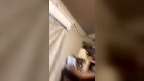 paytenspanties online show from March 24, 2026, 12:37 am