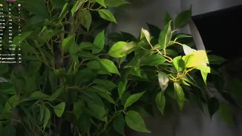 Beautiful Mila online show from July 7, 2026, 6:47 am