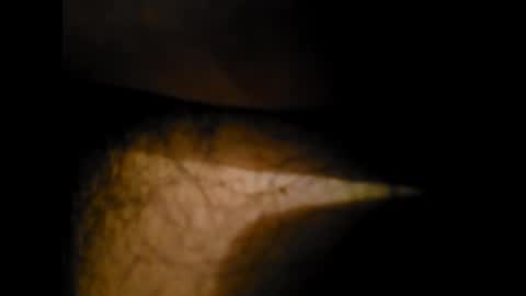 Alex online show from January 24, 2025, 12:31 am