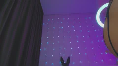 Snapshot of pepper_cat chatting on January 21, 2025, 2:33 am Dia online show from January 21, 2025, 2:33 am