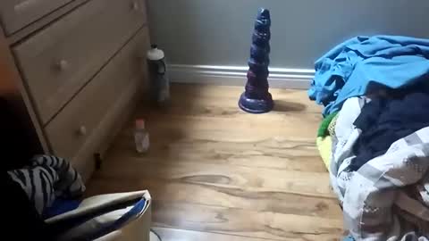 Snapshot of perdz768563 chatting on March 22, 2026, 11:30 pm perdz768563 online show from March 22, 2026, 11:30 pm