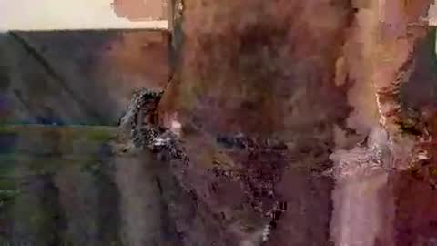 perfectFTM online show from November 12, 2025, 8:52 pm