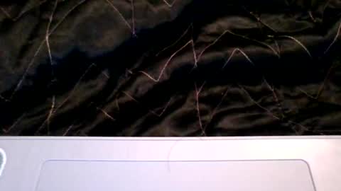 persausiaxxx online show from April 4, 2026, 3:49 am