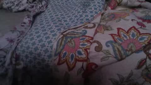 Snapshot of perun19855 chatting on February 25, 2026, 11:36 pm perun19855 online show from February 25, 2026, 11:36 pm