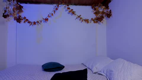 Snapshot of petalsrose_ chatting on December 4, 2024, 10:08 pm Rose online show from December 4, 2024, 10:08 pm