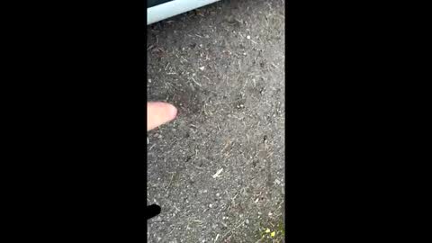 pete444555 online show from September 26, 2025, 5:44 am