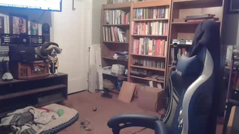 Snapshot of peterinohio57 chatting on October 22, 2025, 11:43 am peterinohio57 online show from October 22, 2025, 11:43 am