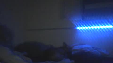 Pitsches online show from February 10, 2026, 3:10 am