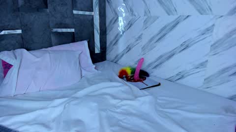 Snapshot of petite_amor chatting on December 9, 2024, 10:30 pm petite_amor online show from December 9, 2024, 10:30 pm