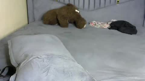 Snapshot of petite_byb chatting on March 10, 2026, 7:13 am petite_byb online show from March 10, 2026, 7:13 am