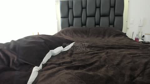 Snapshot of petitealejats chatting on December 31, 2024, 4:57 pm PetiteAlejaTs online show from December 31, 2024, 4:57 pm