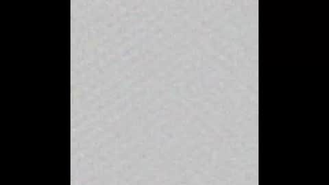 peytonn_monroe online show from October 31, 2025, 12:06 pm