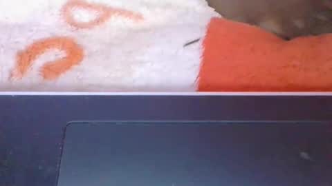 phania185885 online show from May 8, 2026, 6:08 am