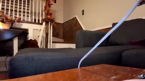 PhatAssBlond online show from September 26, 2025, 3:32 am