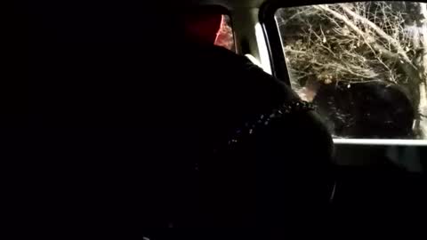 Snapshot of phillipdee chatting on February 1, 2026, 10:03 am phillipdee online show from February 1, 2026, 10:03 am