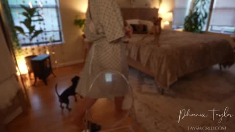 Snapshot of phoenix_taylor chatting on October 30, 2025, 12:56 am PHOENIX TAYLOR online show from October 30, 2025, 12:56 am