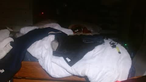 picklerick650 online show from November 2, 2025, 2:25 am