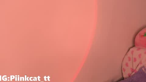 Snapshot of piinkcat chatting on December 3, 2025, 5:37 am Emi online show from December 3, 2025, 5:37 am