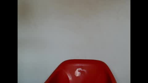Snapshot of pinkxsugar chatting on April 21, 2026, 8:31 am pinkxsugar online show from April 21, 2026, 8:31 am