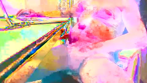 pino477 online show from October 16, 2025, 11:33 am