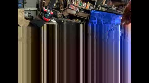 Snapshot of pipefitter485850 chatting on February 9, 2026, 7:23 am FuckUpayMe online show from February 9, 2026, 7:23 am