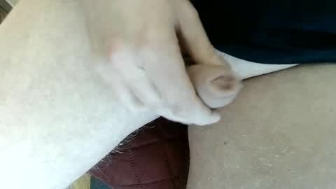 pippo online show from January 3, 2025, 3:55 pm