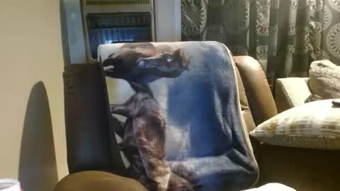 pirate334 online show from January 18, 2026, 4:38 am