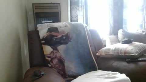 pirate334 online show from February 3, 2026, 8:47 pm