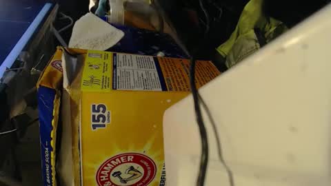 Pisanobear Daddy loose open HairyHole poppers toys online show from February 7, 2026, 10:13 pm