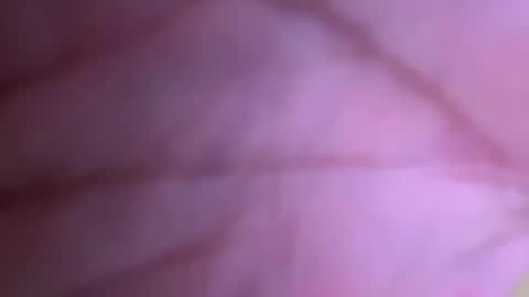 pistolpete9891 online show from January 25, 2025, 8:42 pm