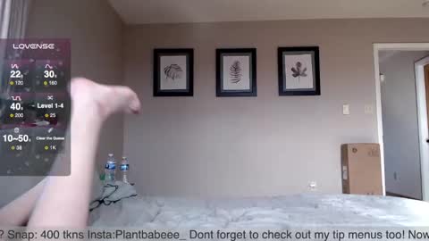 Plantbabeee online show from December 20, 2024, 6:13 pm