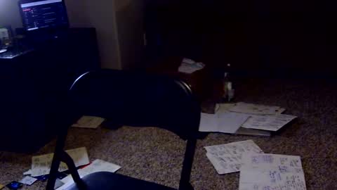 Snapshot of playalldaytoday chatting on September 10, 2025, 8:03 am playalldaytoday online show from September 10, 2025, 8:03 am