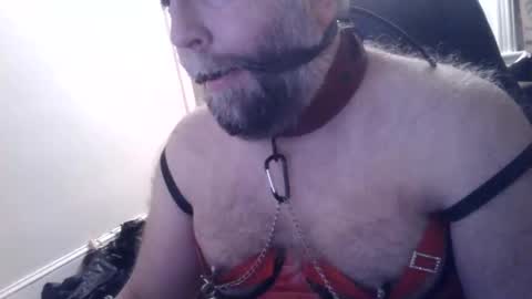 pleasurepuppt online show from January 22, 2025, 2:48 am