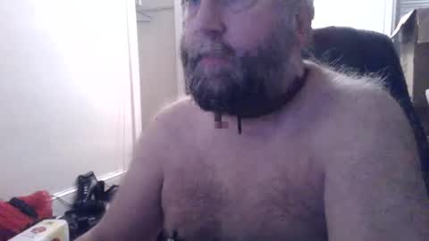 pleasurepuppt online show from February 6, 2025, 3:48 am